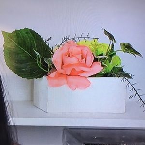 Meet your Posher, Beatrice